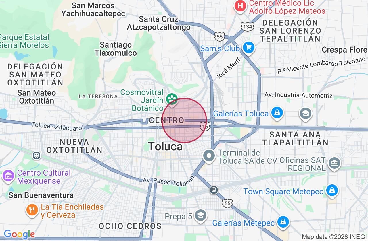 Zona aproximada de Terreno en venta y renta en Barrio de Santa Clara